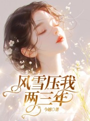 风雪压我两三年