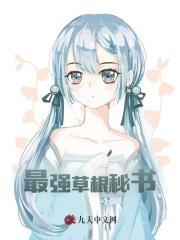 最强草根秘书