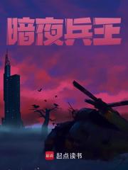 暗夜兵王
