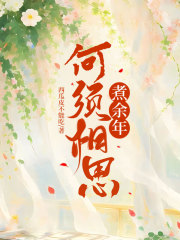 何须相思煮余年