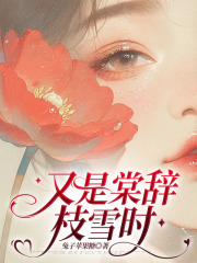 又是棠辞枝雪时